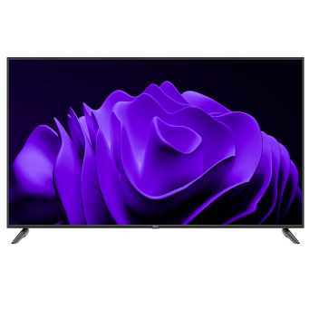 Televisi&oacute;n