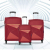 Safari Prisma Trolley Bag Set