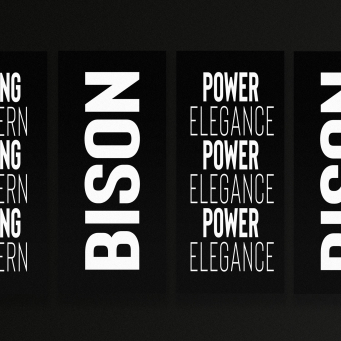 Sans Serif
