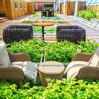 Home and Gardening