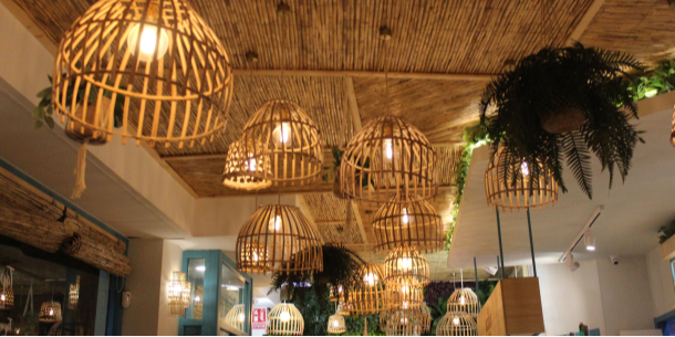 Lighting & Decor Collection 